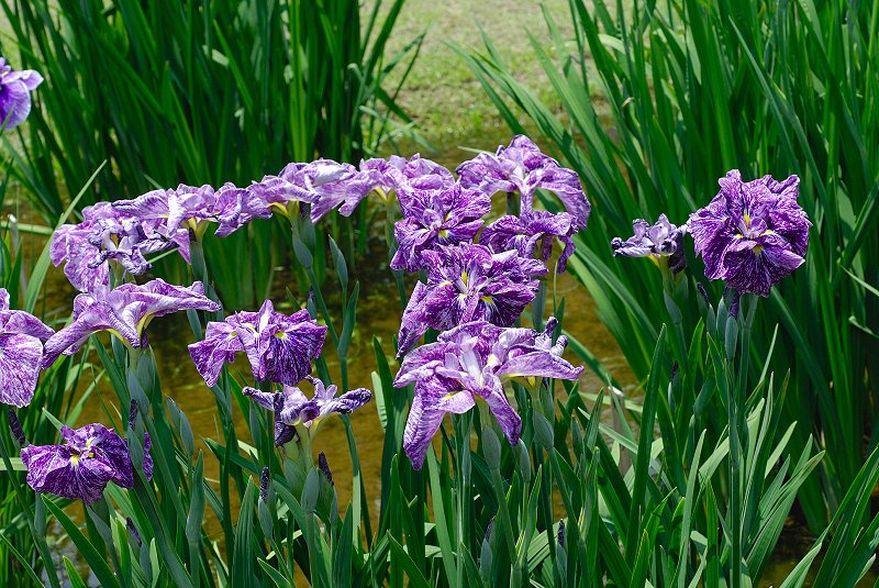image0176
