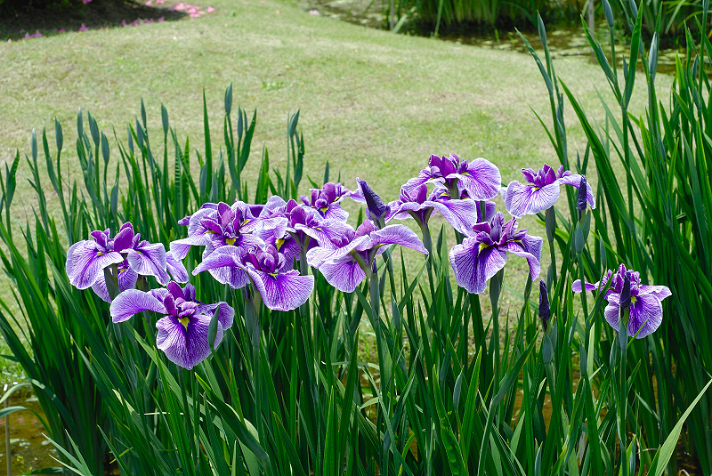 image0177