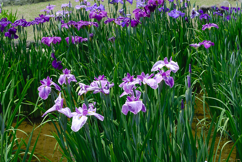 image0178