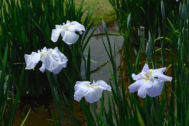 image0179