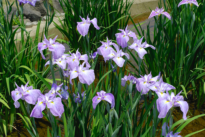 image0180