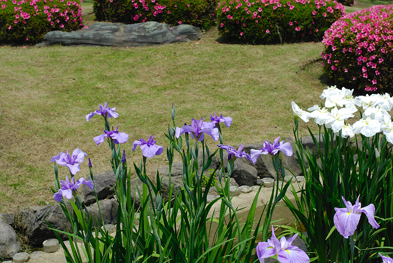 image0181