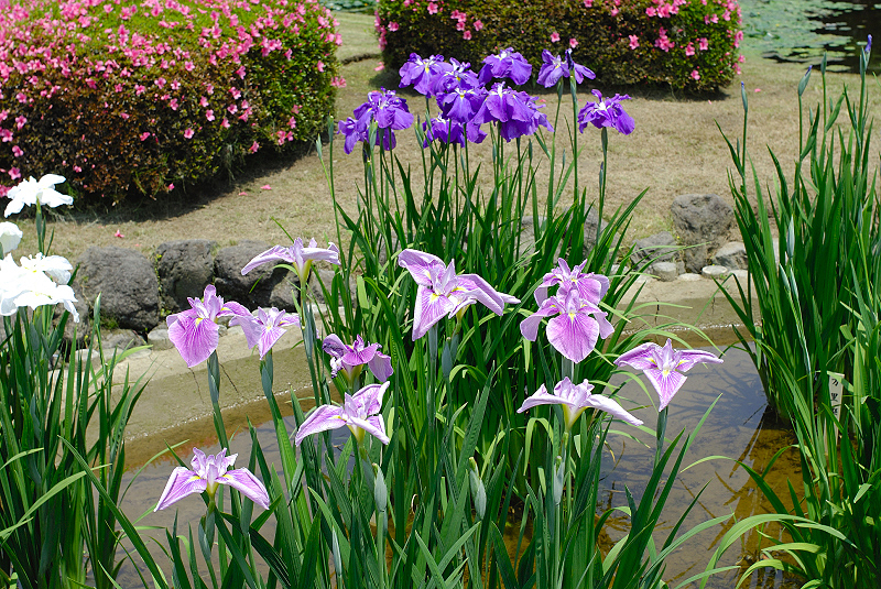 image0182