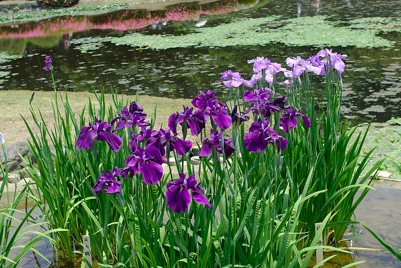 image0183