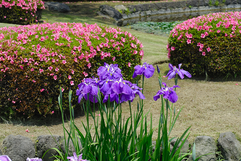 image0184