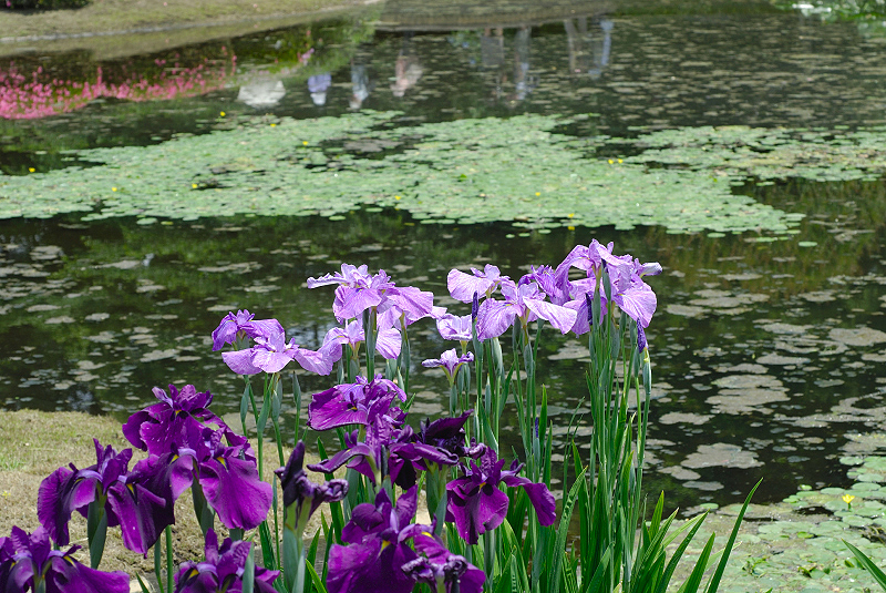 image0185