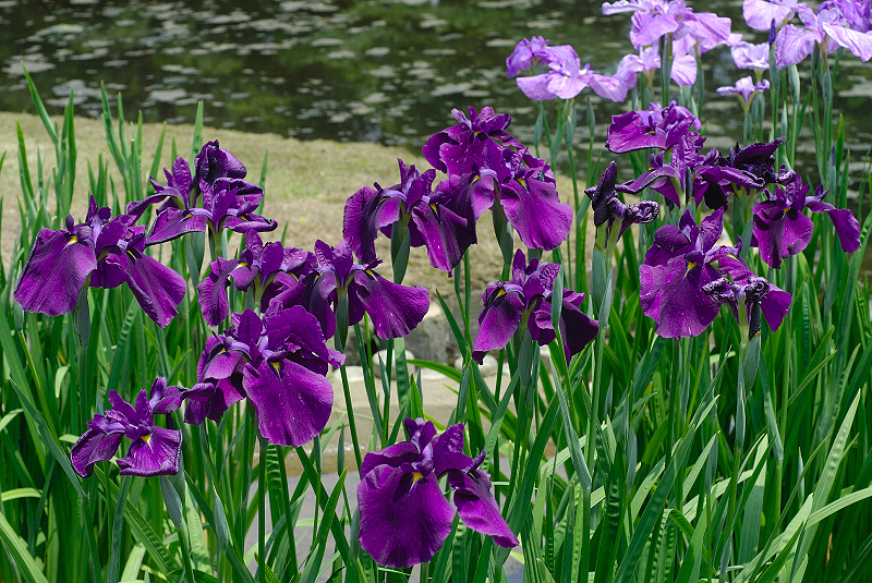 image0186