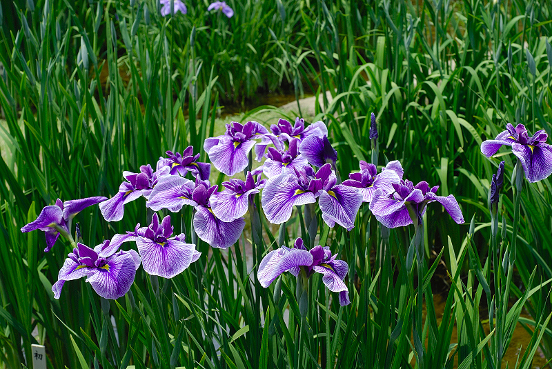 image0187