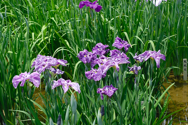 image0188