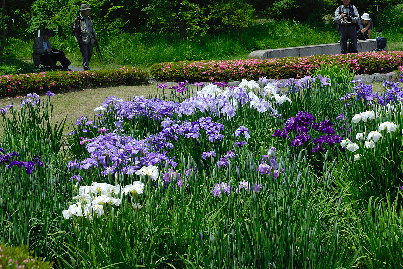 image0191