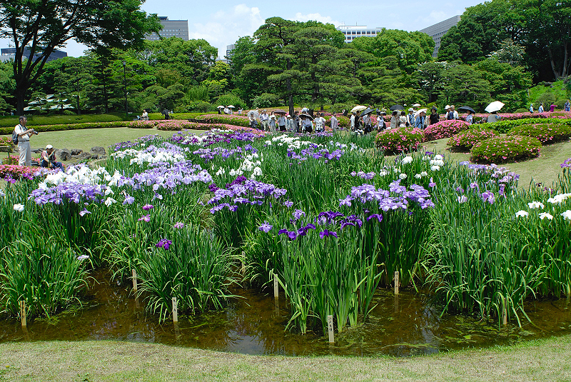 image0192