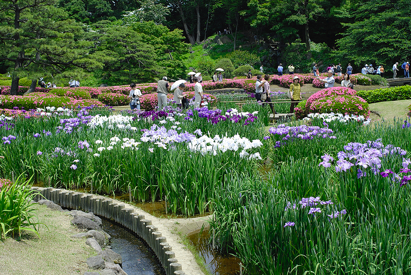 image0194