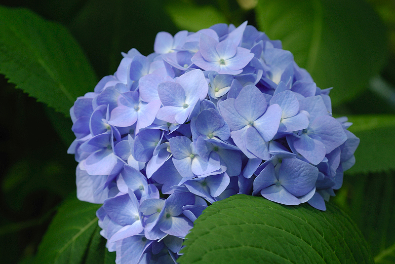 image0196