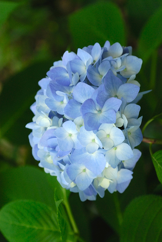 image0197
