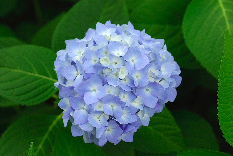 image0198