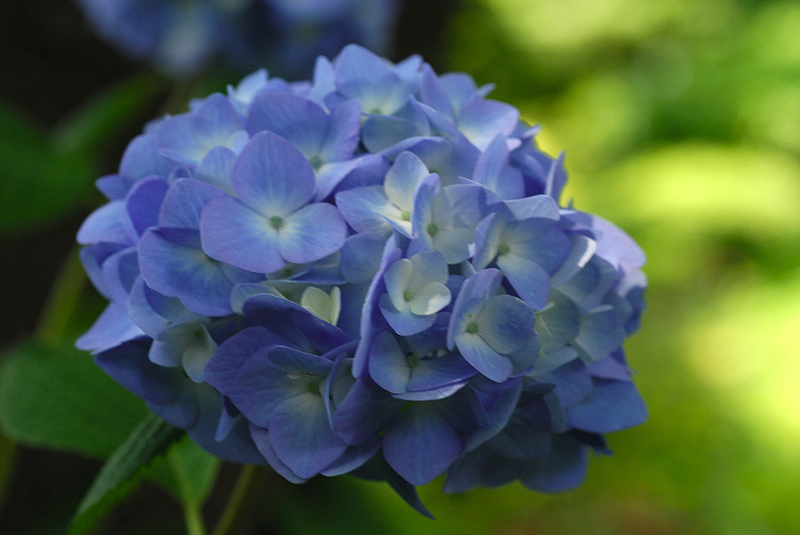 image0199