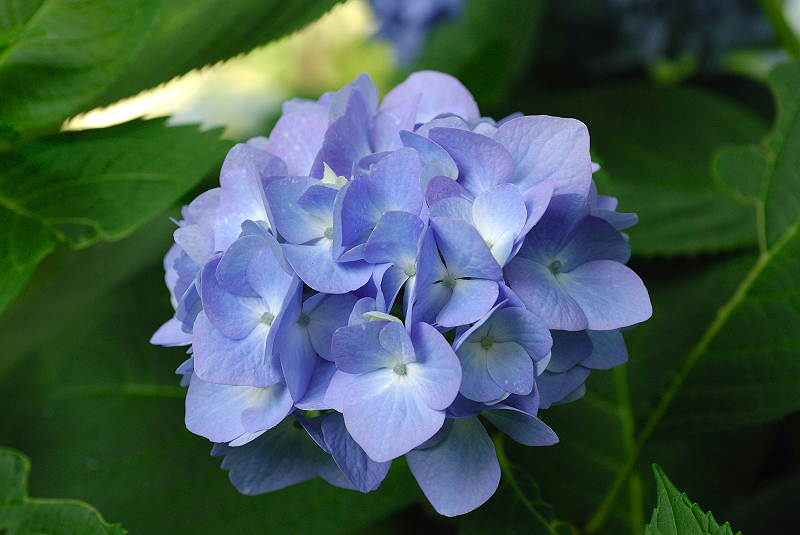 image0201