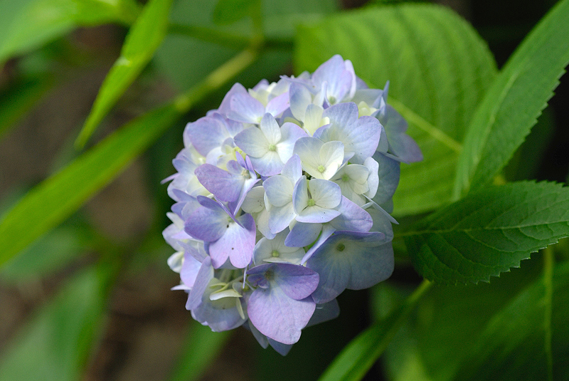 image0202