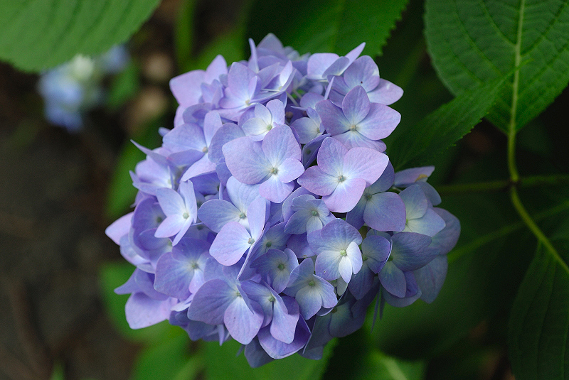 image0203