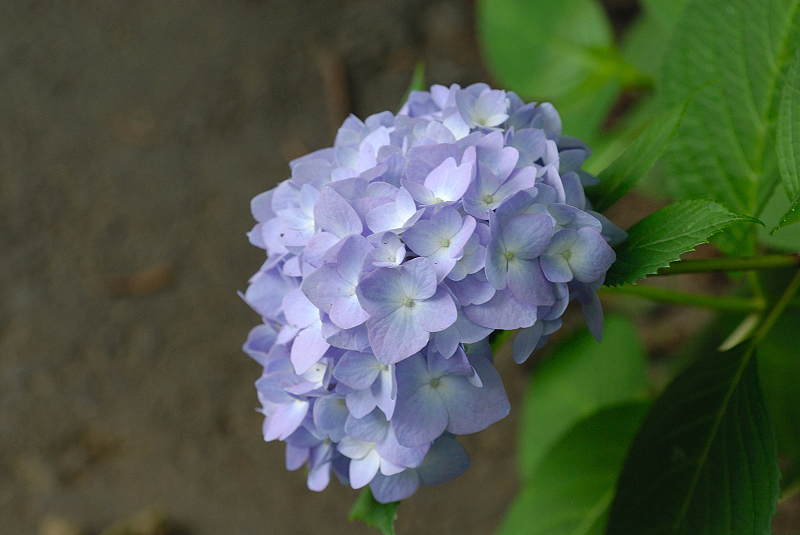 image0204