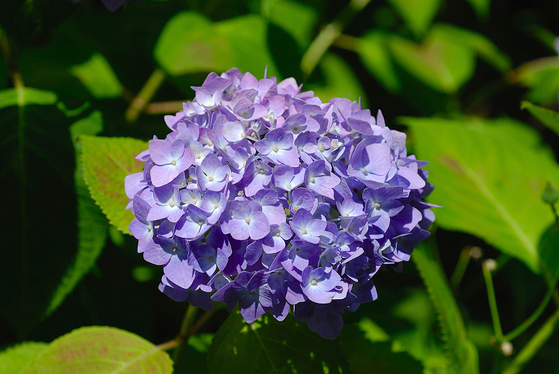 image0210