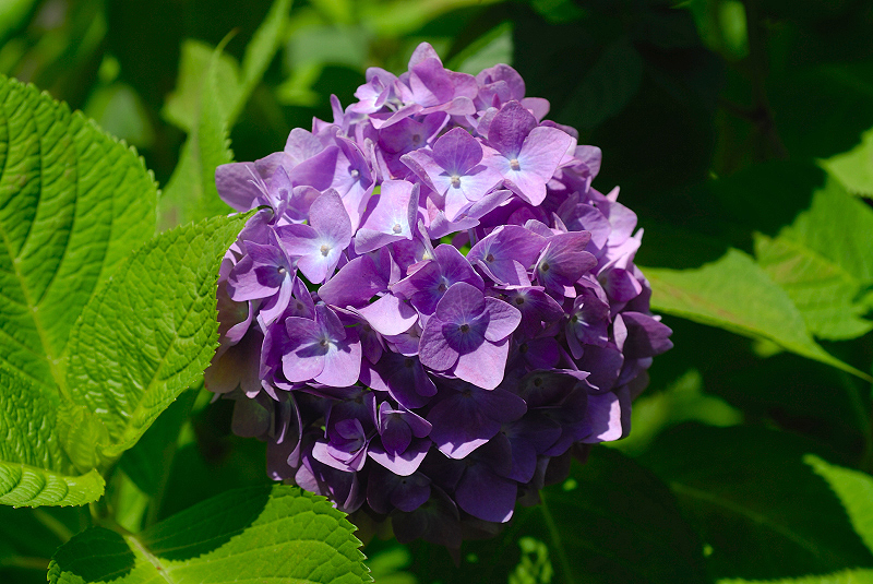 image0212