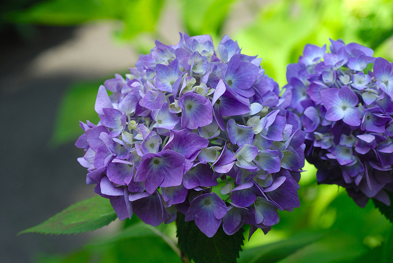 image0213
