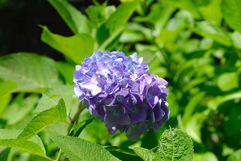 image0215