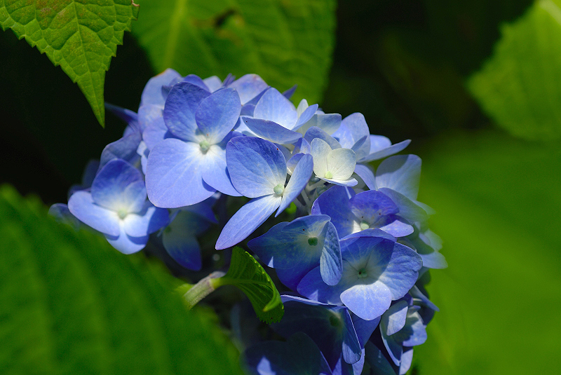 image0216