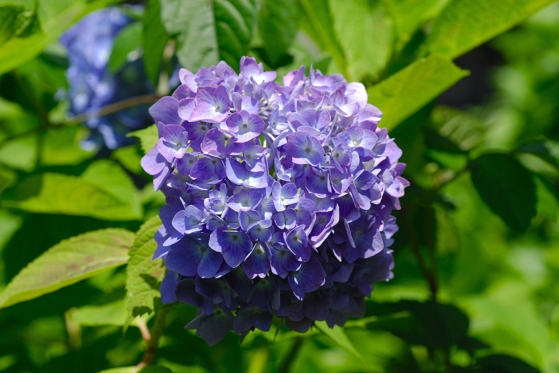 image0217