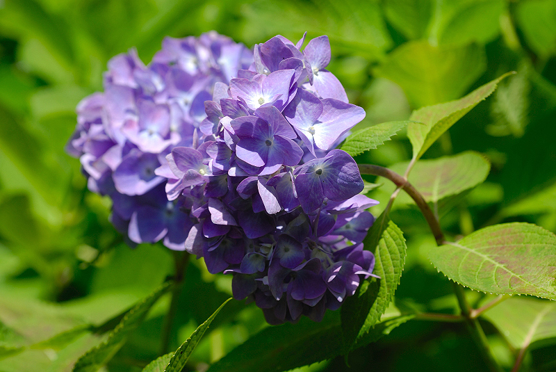 image0218