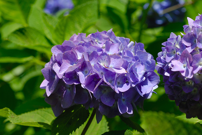 image0219