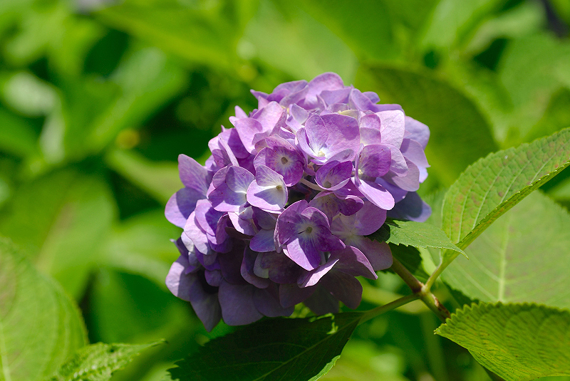 image0220
