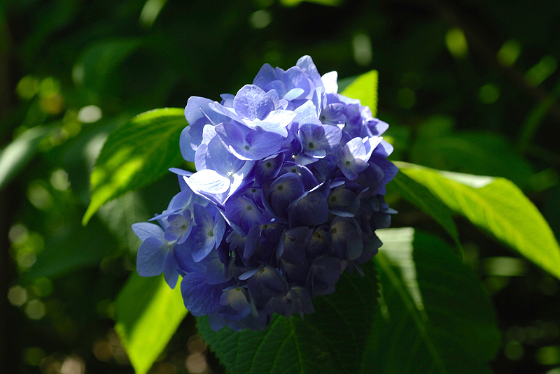 image0221
