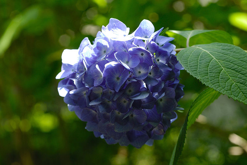 image0223
