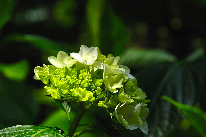 image0224