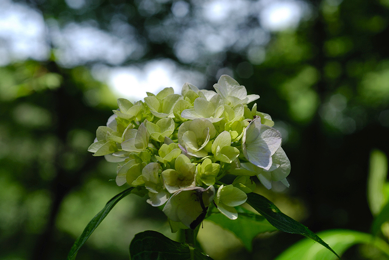 image0225