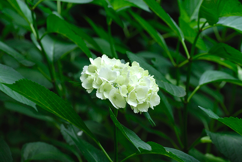 image0227