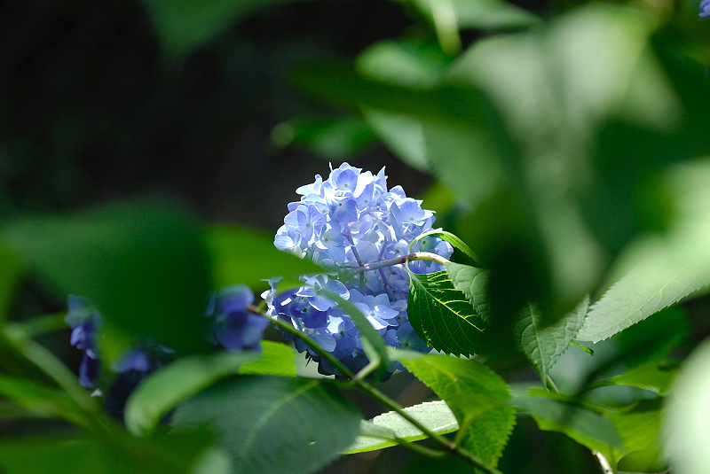 image0230