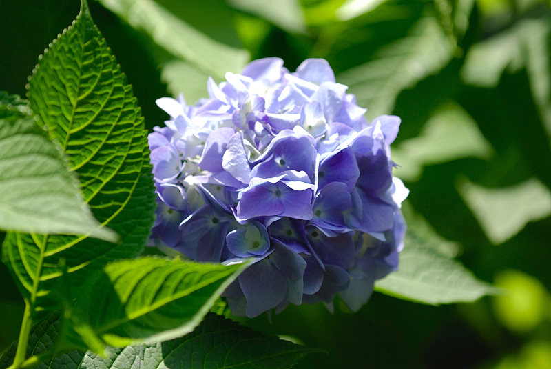 image0231