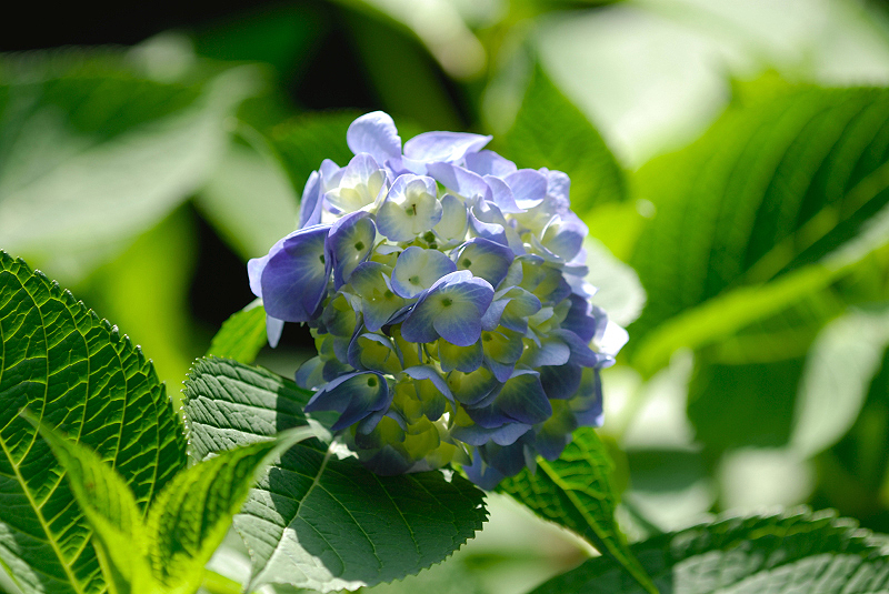 image0232