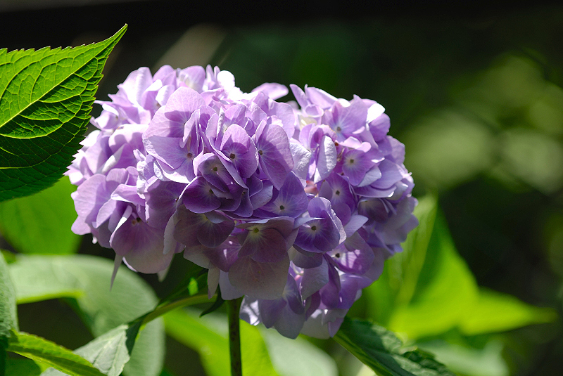image0233
