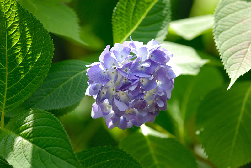 image0234