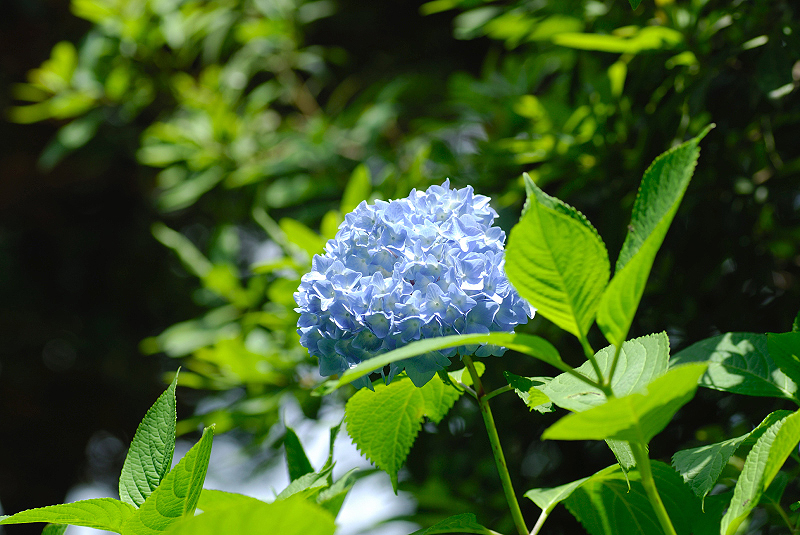image0235