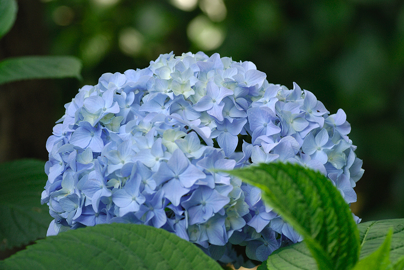 image0236