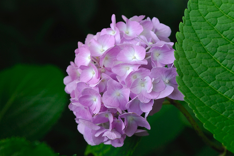 image0241