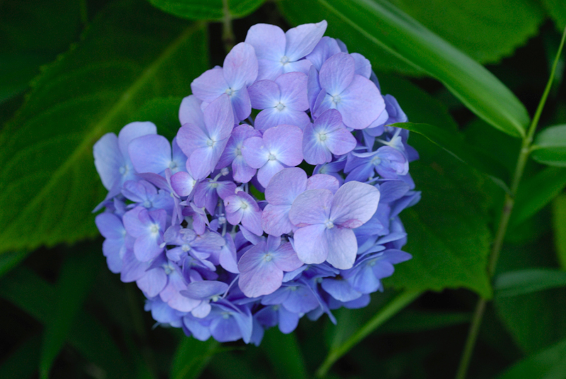 image0243