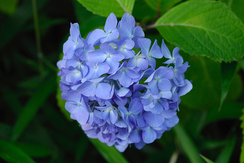 image0244
