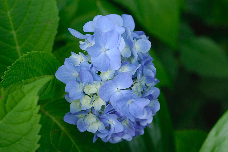 image0245