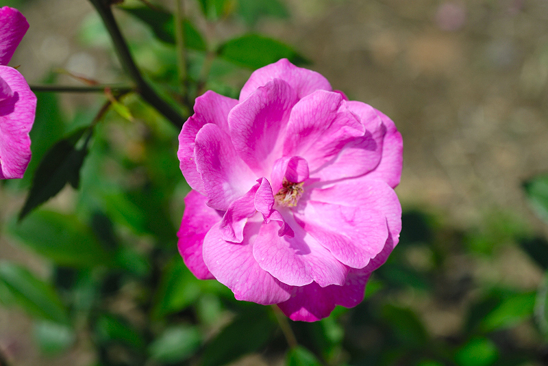 image0246